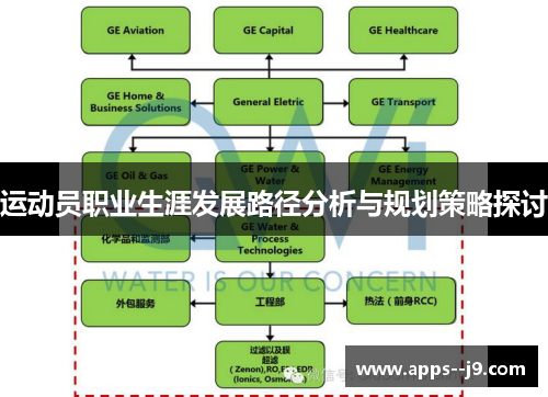运动员职业生涯发展路径分析与规划策略探讨 运动员职业生涯发展路径分析与规划策略探讨