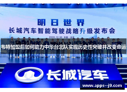 韦特加盟后如何助力中华台北队实现历史性突破并改变命运