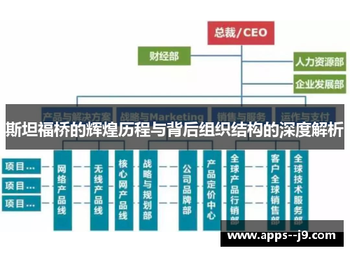 斯坦福桥的辉煌历程与背后组织结构的深度解析 斯坦福桥的辉煌历程与背后组织结构的深度解析