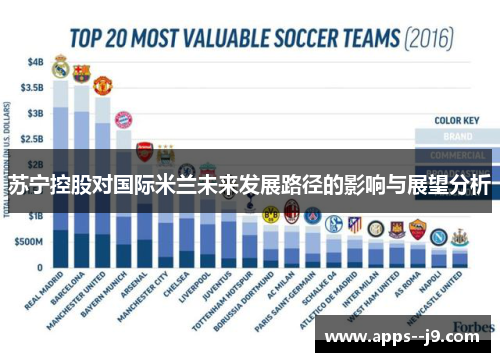苏宁控股对国际米兰未来发展路径的影响与展望分析