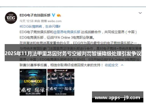 2025年11月法甲里昂因财务亏空被判罚暂缓降级处理引发争议 2025年11月法甲里昂因财务亏空被判罚暂缓降级处理引发争议