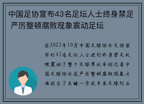 中国足协宣布43名足坛人士终身禁足 严厉整顿腐败现象震动足坛 中国足协宣布43名足坛人士终身禁足 严厉整顿腐败现象震动足坛